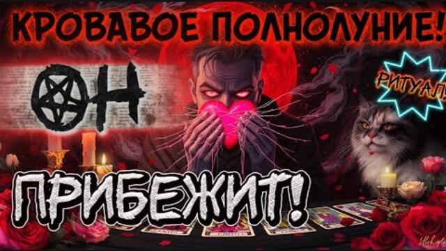 ‼️🔥ОН НАПИШЕТ СРАЗУ 1000%!❤️‍🔥КРОВАВОЕ ПОЛНОЛУНИЕ! САМЫЙ УПЁРТЫЙ ПРИБЕЖИТ!/ Рунная Магия! #ритуалы