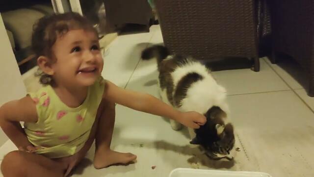 SUBSCRIBE EVE KEDİ GELDİ! KARNI ACIKMIŞ YEMEK YEDİ SEMOŞ KEDİYLE OYNUYOR ÇOK TATLISIN#cat #kediler