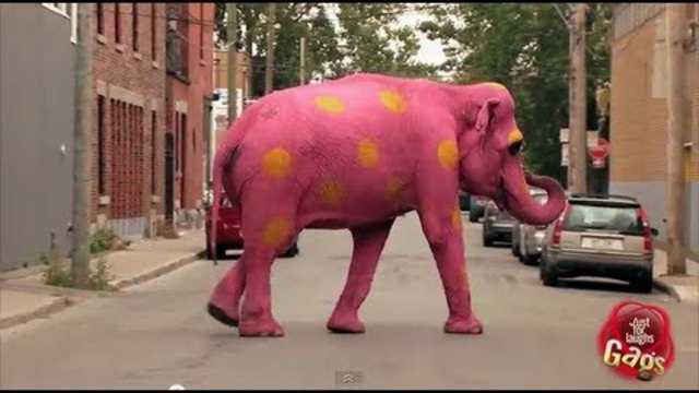 Скрита камера