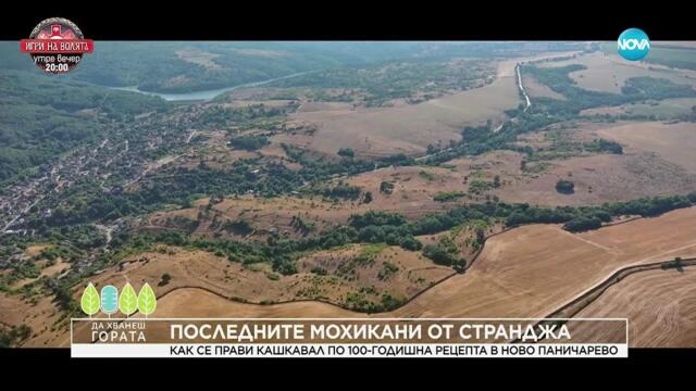 Да хванеш гората (07.09.2025)