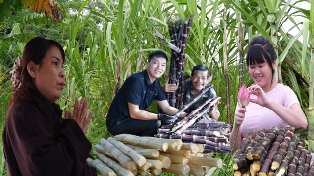 A Sugarcane Season Full of Smiles: Will Grandma Ha Let Thuy Stay? SUNG A PAO