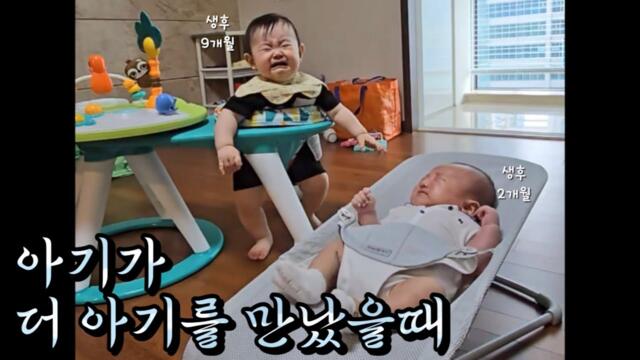 [​성국이네] 아기가 더 아기를 만났을때