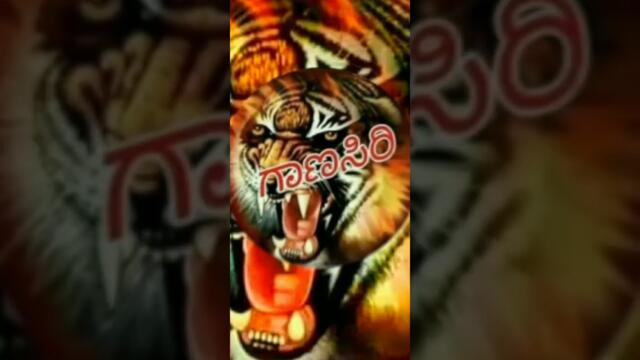 @ganiger remix song. #BG Audio sound2025.