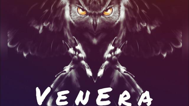 Нападение на полнолуние...🧐🧐🧐🫩🫩🫩