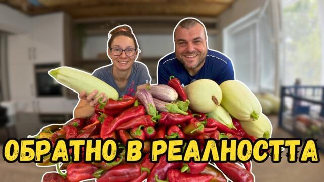 Обратно в реалността | Какво заварихме след морето | Милчеви БГ