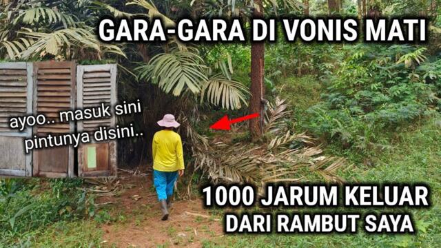 MUSTAHIL UNTUK PERCAYA!! TAPI ORANG INI TINGGAL DI RUMAH YANG TIDAK MASUK AKAL