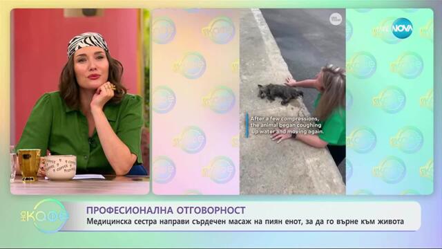 Медицинска сестра направи сърдечен масаж на пиян енот - „На кафе” (11.09.2025)