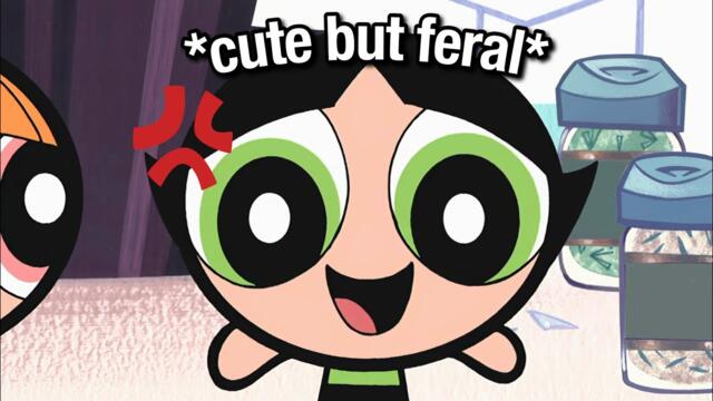 Buttercup being FERAL for 6 and a half minutes straight