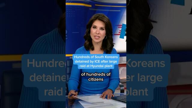 Hundreds of South Koreans detained by ICE after large raid at Hyundai plant