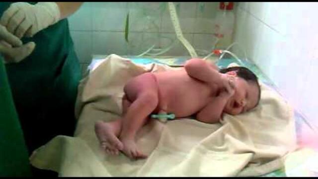 El Nacimiento de Malena Canducci