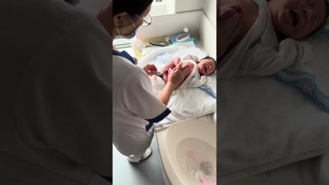 How To Make Banana Cat Baby Born Brith 22/4/2023 - 23/4/2023