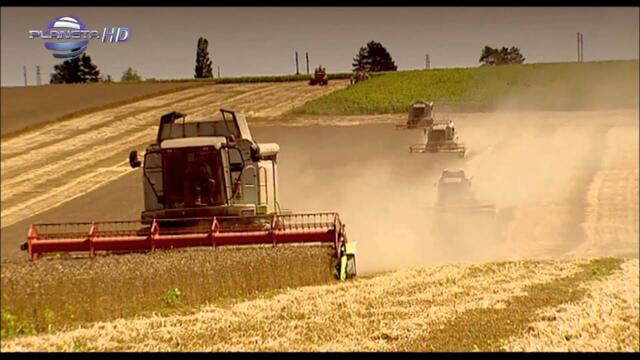 NELINA - MILO MI E, MAMO / Нелина - Мило ми е, мамо