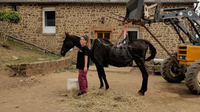 Cette association est le Samu des animaux