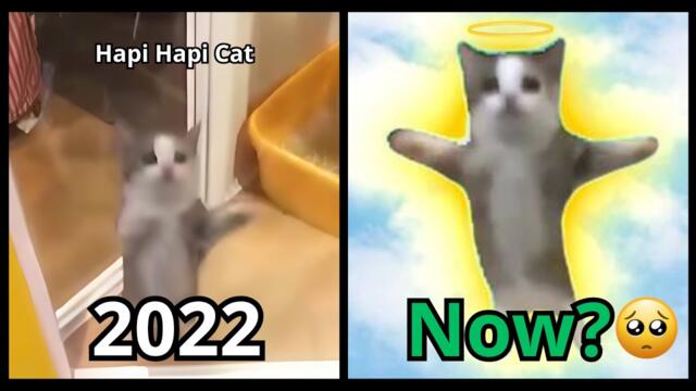 Famous Cat Memes (Then & Now) 🐱💔 Nostalgic Cat Legends