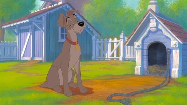 Lady And The Tramp II: Scamp’s Adventure: Argument (2001)
