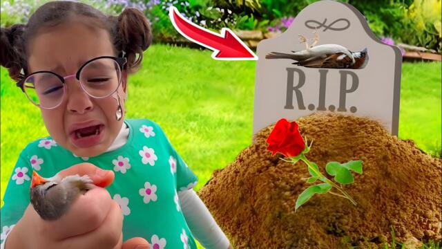 Une mauvaise nouvelle😢😭￼