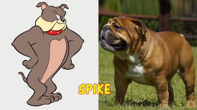 Tom and Jerry Cartoon Characters in Real Life || Newest