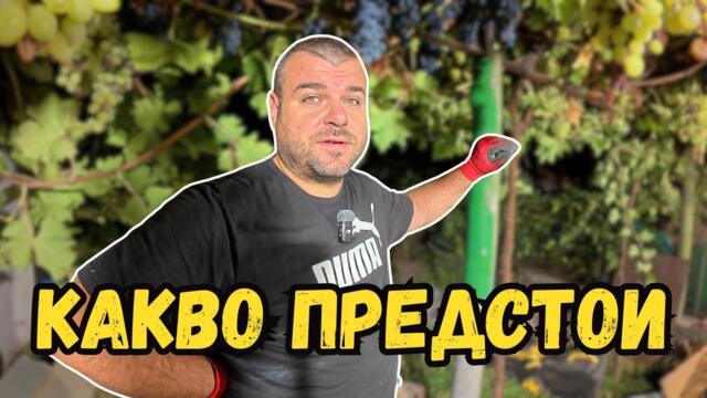 Бъдещият ни ГОЛЯМ ПРОЕКТ | Милчеви БГ