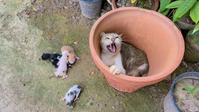 Just be patient, it will be fine when you get home.