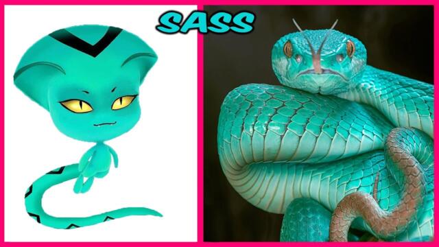 MIRACULOUS KWAMIS En La Vida Real