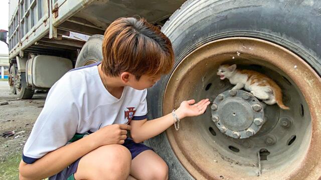 Terrified Kitten Curled Up in a Wheel… Until We Saved Him