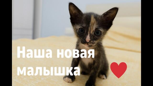 Наша новая малышка ❤️
