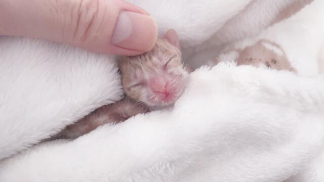 80g 작은 달님이와 잠시였지만 깊었던 하루