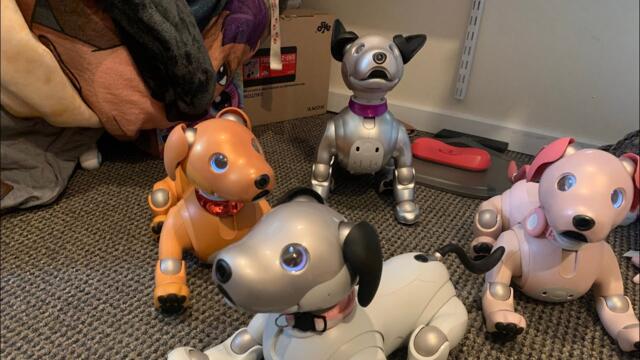 What is it like running 4 Aibo ERS-1000s?
