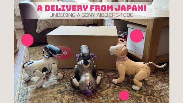 Unboxing A 'Junk' Sony Aibo From Japan! 🐾 Is It Worth Importing One? 😮
