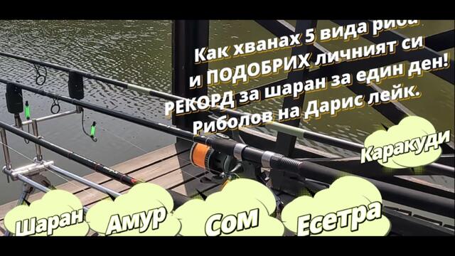 Как хванах 5 вида риба и ПОДОБРИХ личният си РЕКОРД за шаран за един ден! Риболов на Дарис лейк.