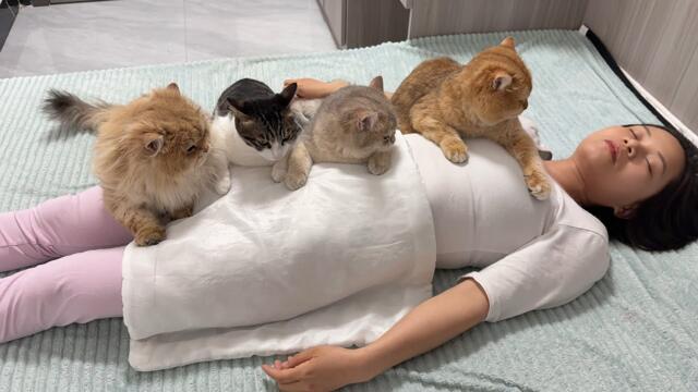 All the cats prayed that beautiful owner would be resurrected,as they suspected that she was dead!