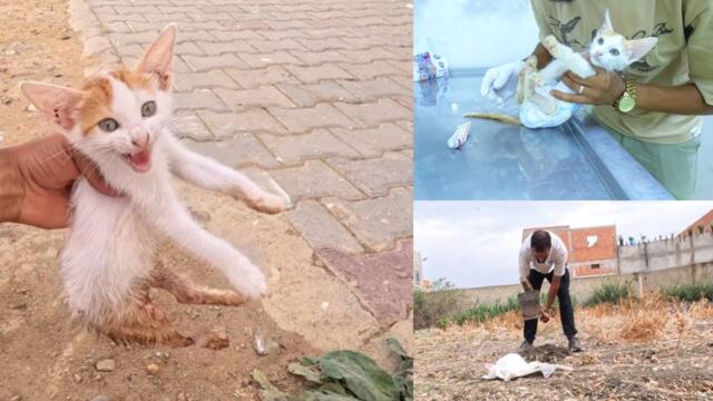 Meeting Lizzy was the beginning of hope... but his departure broke my heart || The Full Story