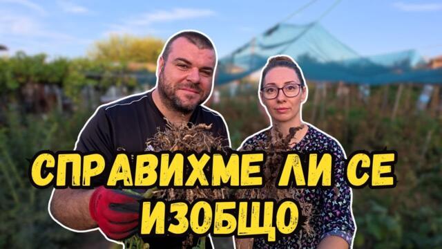 Как се справихме с НЕМАТОДАТА в градината | Милчеви БГ