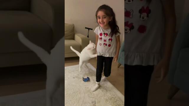 Lovely Cats and babies 🐈😜🙈  funny  Kittens 👧🐈#cat #kitten #babys #pets