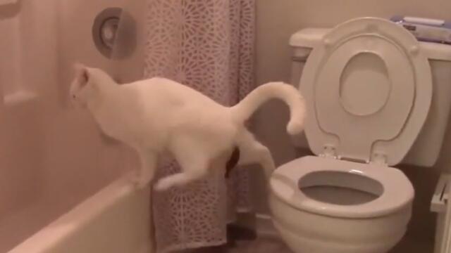 Е това удобно да сереш на кенефа с кеф 🤭