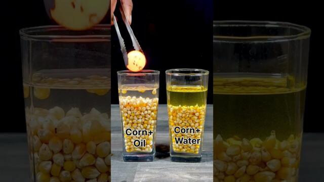 Experiment : 1000°C RHCB vs Popcorn+Oil and Popcorn+Water