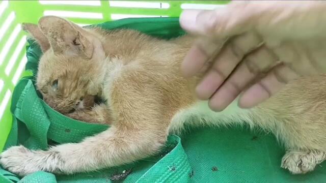 R I P  Garry, akhirnya  aku  menyerah  Tuhan