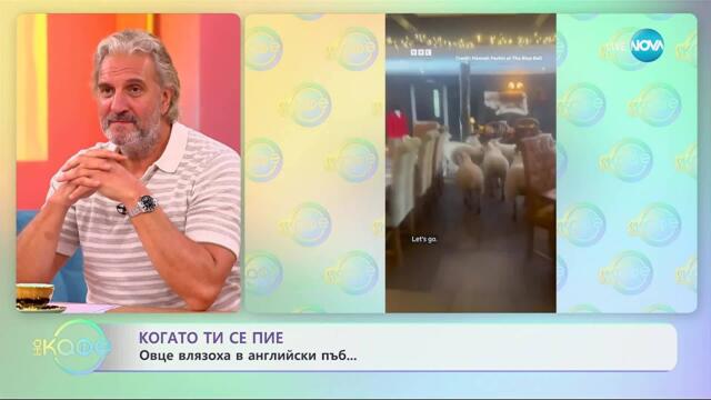 Когато ти се пие: Овце влязоха в английски пъб - „На кафе” (17.09.2025)