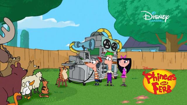 Преводач на животни | Финиъс и Фърб | Disney Channel Bulgaria