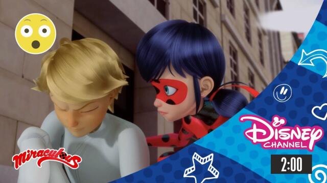 Мега-чудесата на Калинката и Черния котарак/ Дуелът