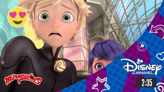 Мега-чудесата на Калинката и Черния котарак/ Песен и танц