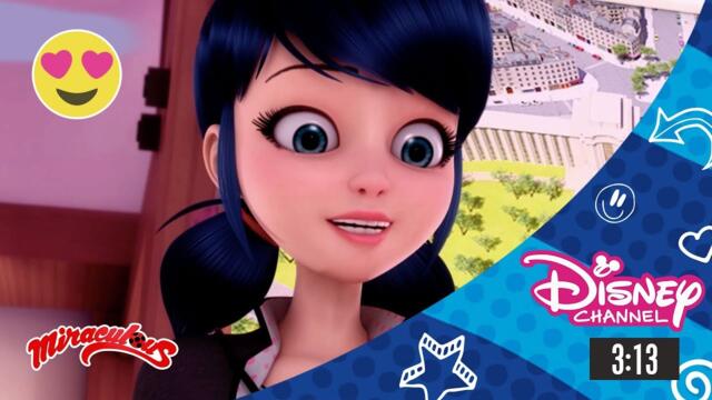 Операция: Тайната градина | Мега-чудесата на Калинката и Черния котарак