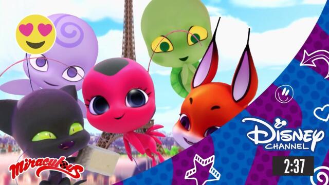 Запознайте се с Квамитата | Мега чудеса