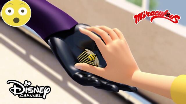 Чудотворецът на Пчелата | Мега-чудесата | Disney Channel Bulgaria