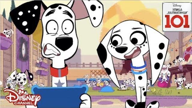 ✨ Чистене - животни срещу хора | Улица "Далматинци" 101 | Disney Channel Bulgaria