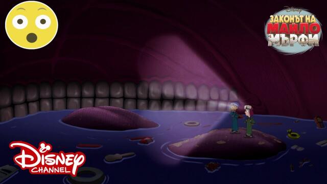 В устата на кит | Законът на Майло Мърфи | Disney Channel Bulgaria
