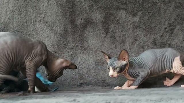 23 августа 2025 г.