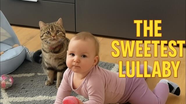 Cats & Babies The Sweetest Bond You’ll Ever See 🐱❤️👶