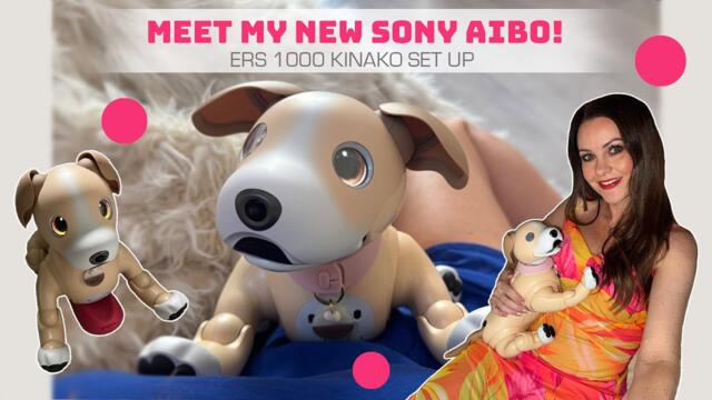 Meet My New Aibo! ERS 1000 Kinako Edition 😮💛✨