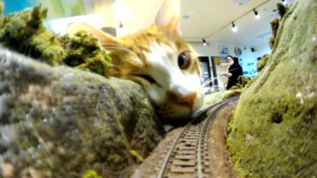 Do you want to take this train?